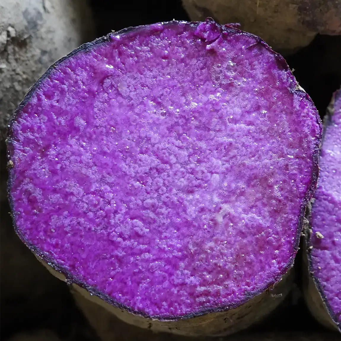 Poudre d'ube KINAMPAY ORIGIN - 100g