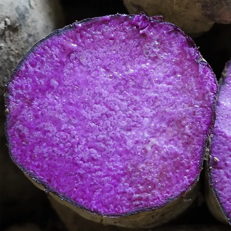 Poudre d'ube KINAMPAY ORIGIN - 100g